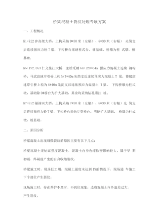 桥梁混凝土裂纹处理专项方案