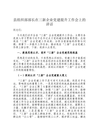 县组织部部长在三新企业党建提升工作会上的讲话