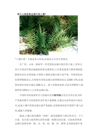 植物修复案例