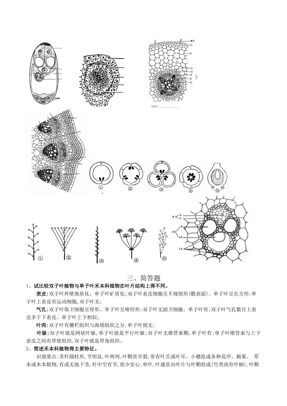 植物学知识总结_第3页
