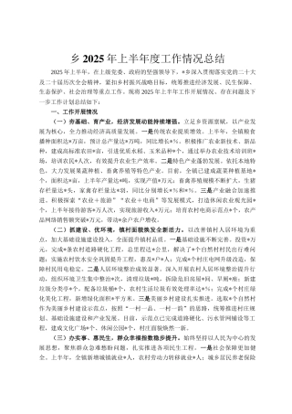 乡2025年上半年度工作情况总结