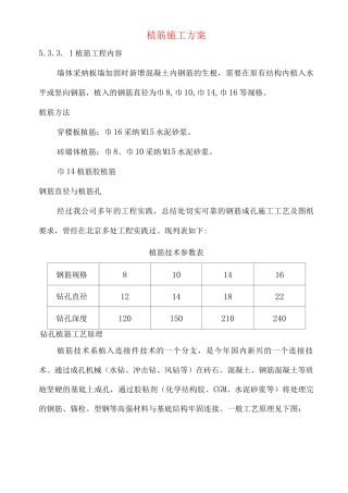 植筋施工方案