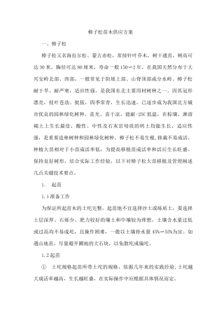 樟子松苗木供应方案