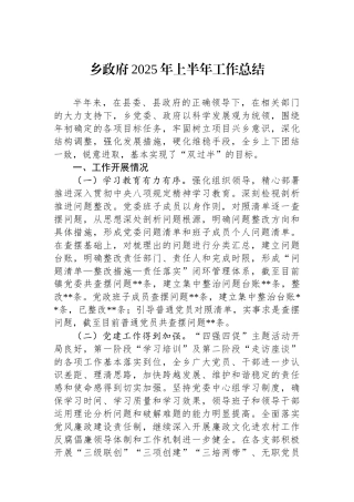 乡政府2025年上半年工作总结