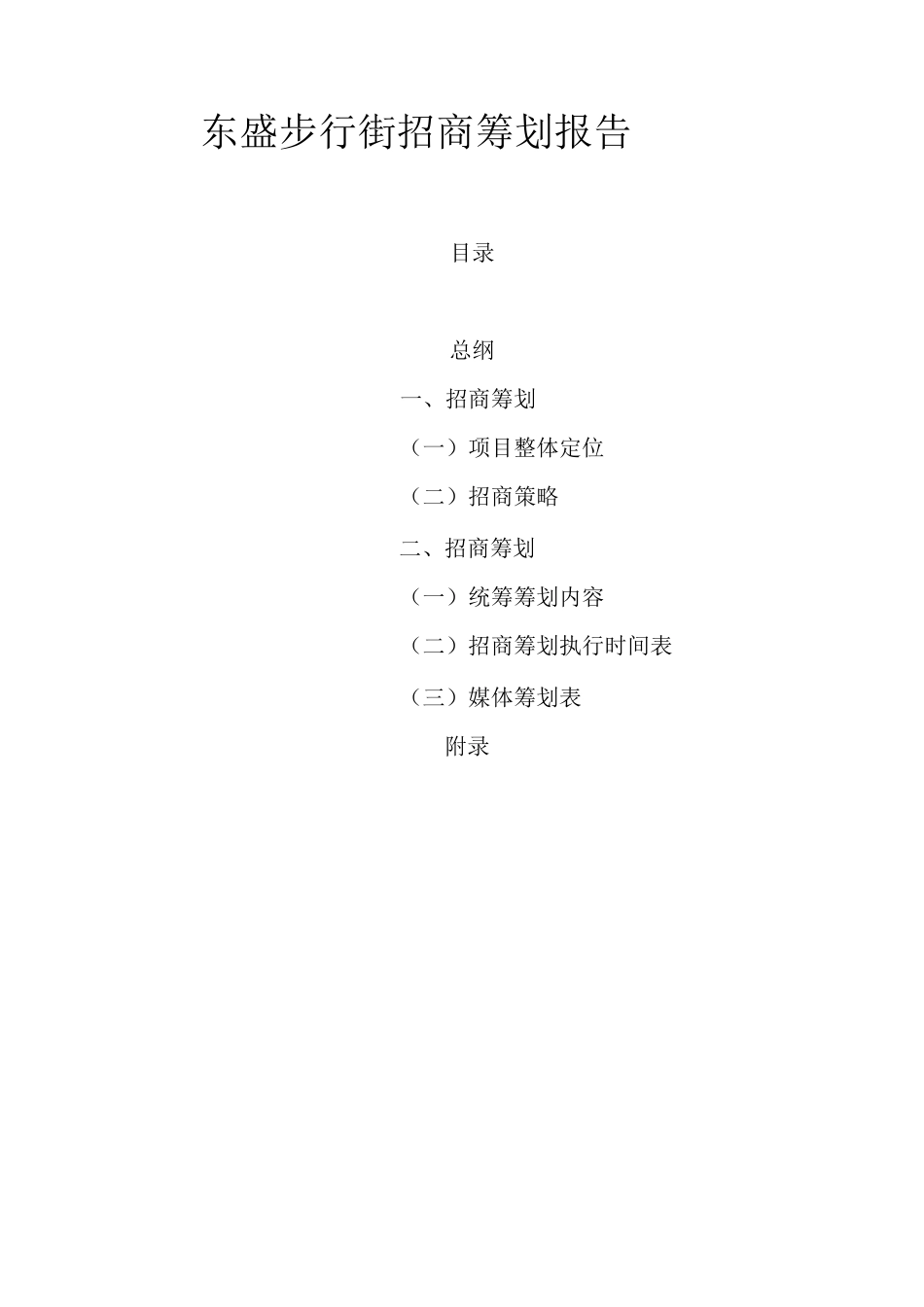 步行街招商策划报告_第2页