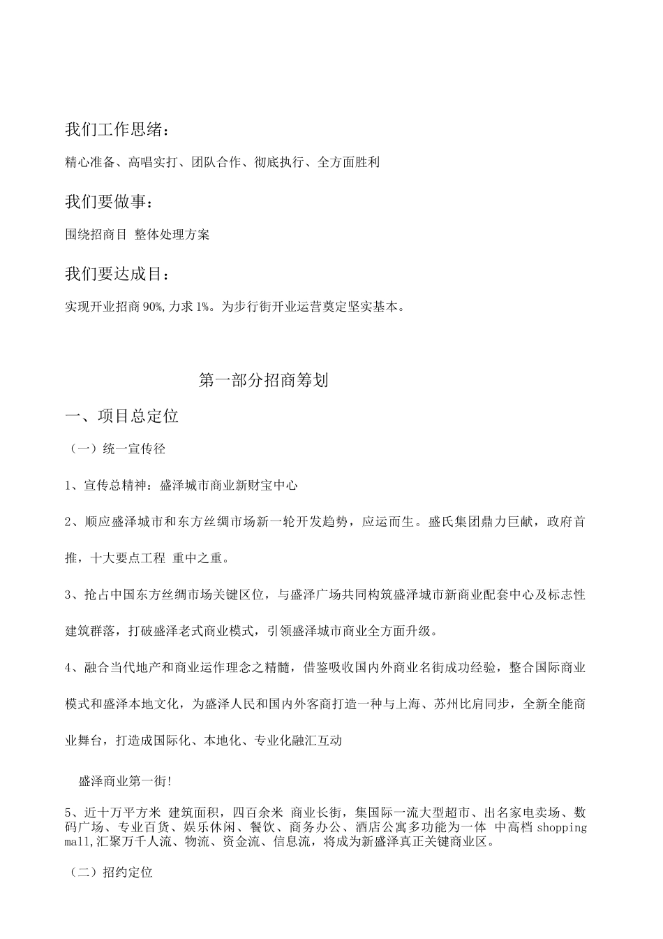 步行街招商策划报告_第3页