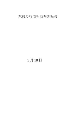 步行街招商策划报告