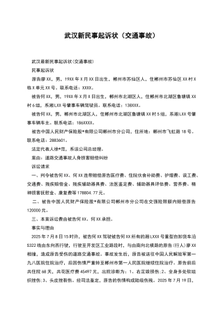 武汉新民事起诉状