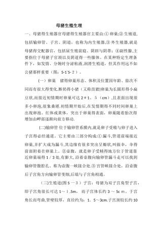 母猪生殖生理