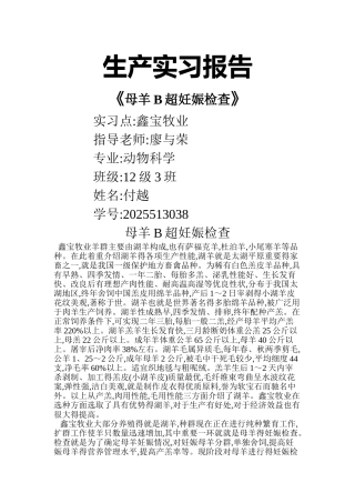 母羊B超妊娠检查
