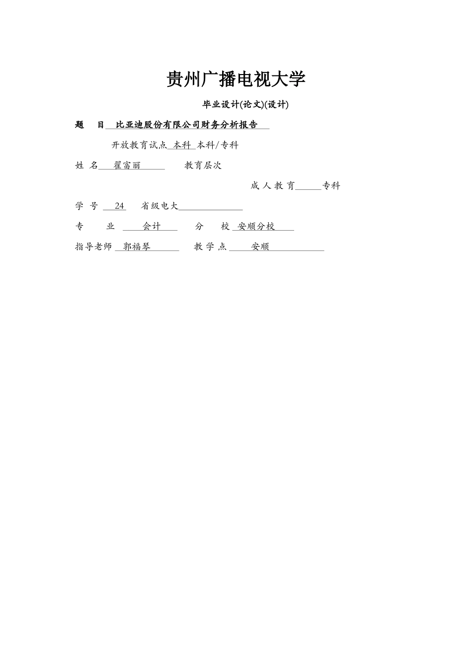 比亚迪财务分析报告_第1页