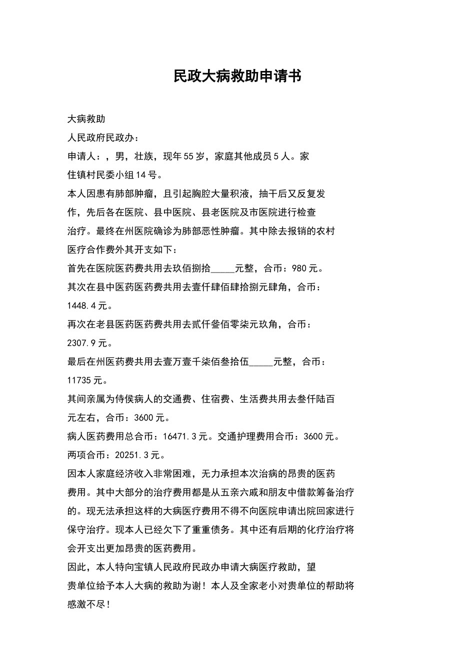 民政大病救助申请书_第1页