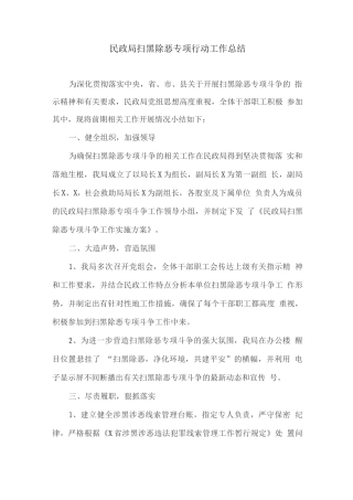 民政局扫黑除恶专项行动工作总结