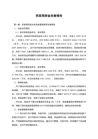 民政局资金自查报告