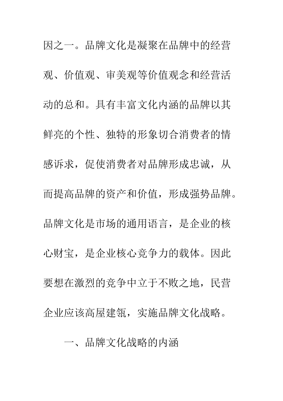 民营企业品牌文化战略的思考_第2页