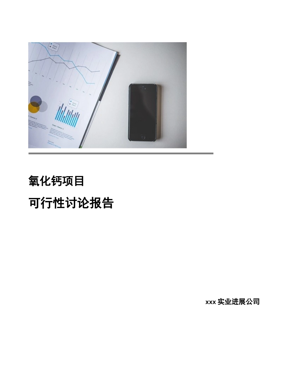 氧化钙项目可行性研究报告-范文-_第1页