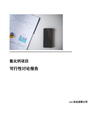 氧化钙项目可行性研究报告-范文-