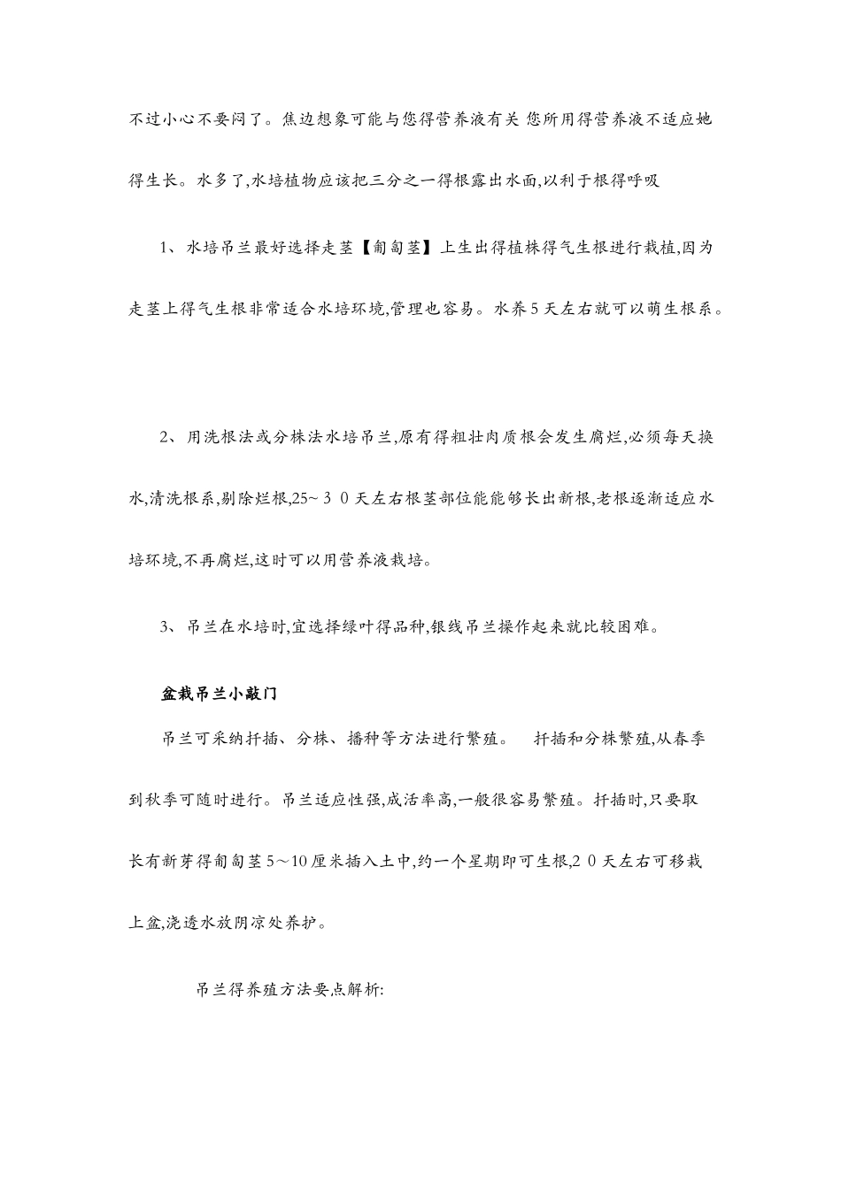 水培吊兰与盆栽吊兰小敲门_第3页