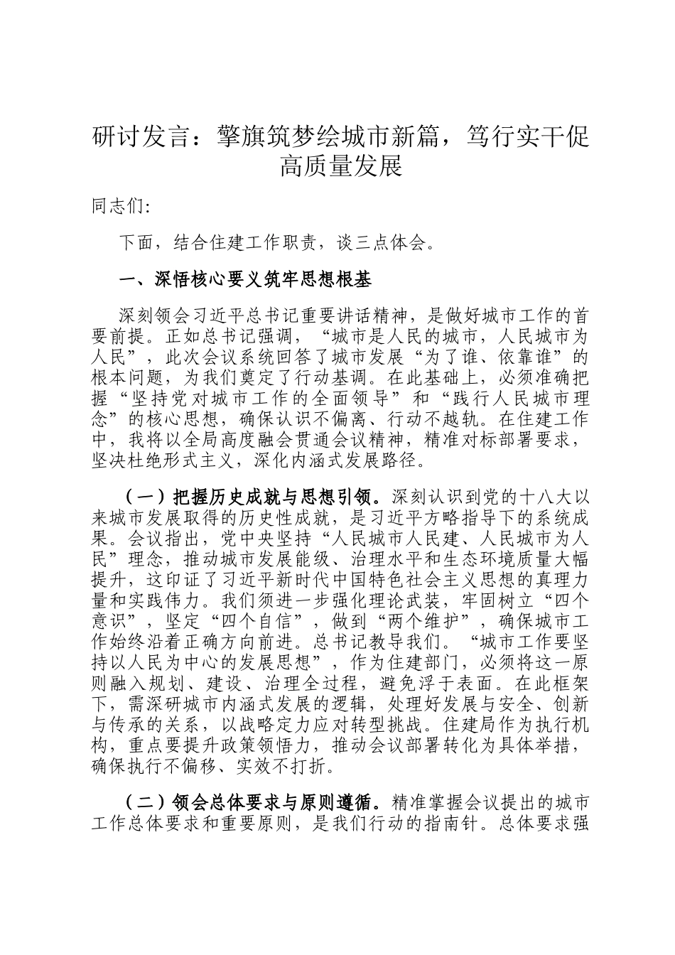研讨发言：擎旗筑梦绘城市新篇，笃行实干促高质量发展_第1页