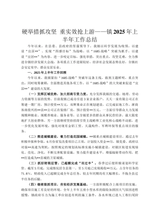 硬举措抓攻坚 重实效抢上游——镇2025年上半年工作总结