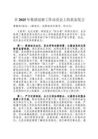 在2025年集团巡察工作动员会上的表态发言