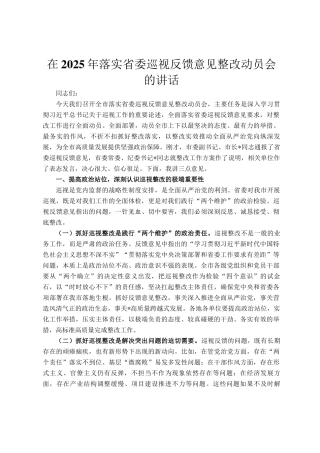 在2025年落实省委巡视反馈意见整改动员会的讲话