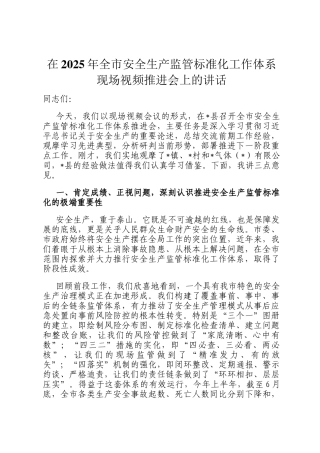 在2025年全市安全生产监管标准化工作体系现场视频推进会上的讲话