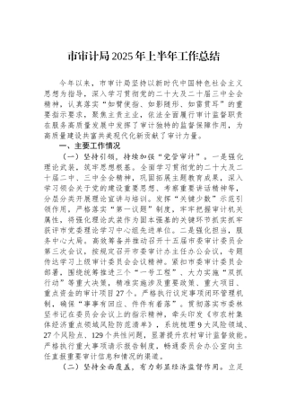 市审计局2025年上半年工作总结