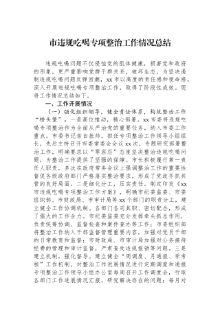 市违规吃喝专项整治工作情况总结