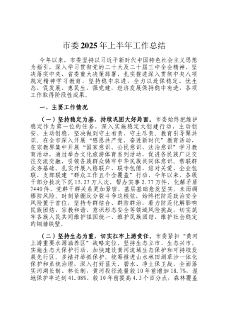 市委2025年上半年工作总结