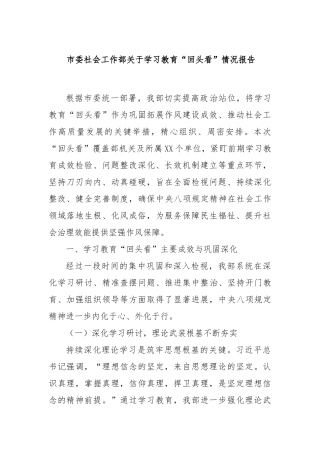 市委社会工作部学习教育“回头看”情况报告