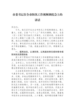 市委书记在全市防汛工作视频调度会上的讲话