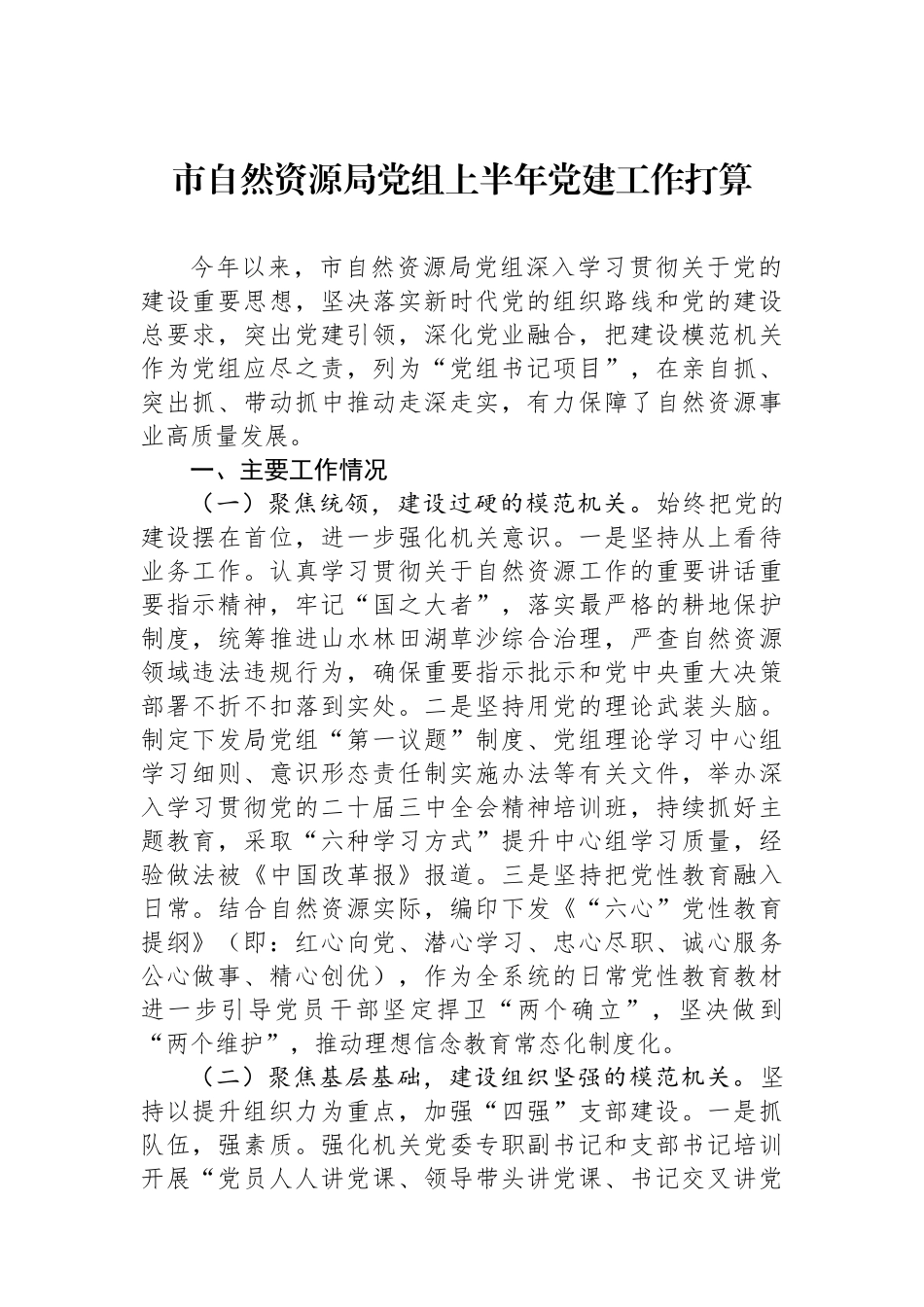 市自然资源局党组上半年党建工作打算_第1页