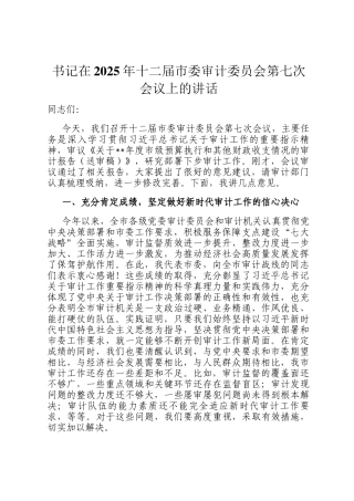 书记在2025年十二届市委审计委员会第七次会议上的讲话