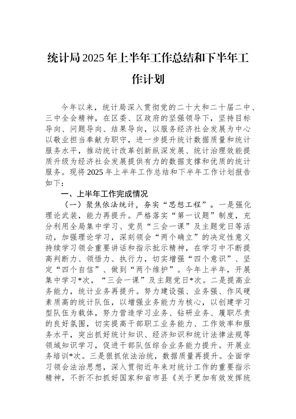 统计局2025年上半年工作总结和下半年工作计划_第1页