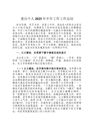 委办个人2025年半年工作工作总结