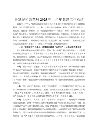 县发展和改革局2025年上半年党建工作总结
