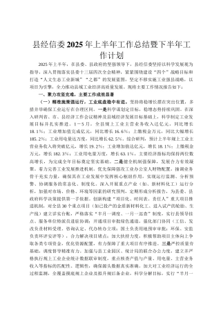 县经信委2025年上半年工作总结暨下半年工作计划