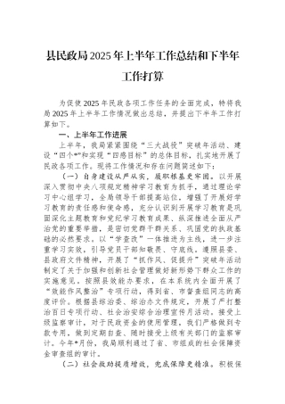 县民政局2025年上半年工作总结和下半年工作打算
