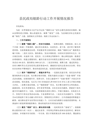 县民政局银龄行动工作开展情况报告
