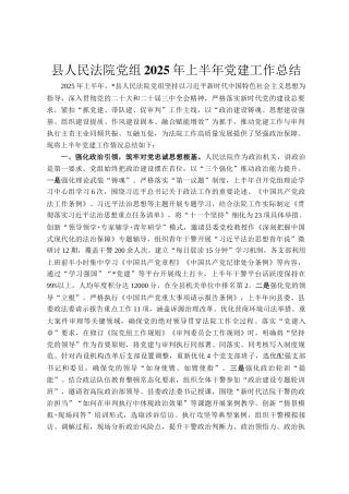县人民法院党组2025年上半年党建工作总结