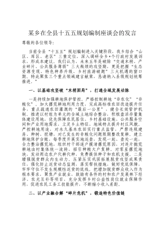 某乡在全县十五五规划编制座谈会的发言