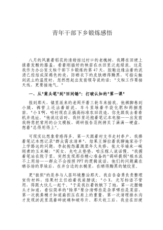 青年干部下乡锻炼感悟