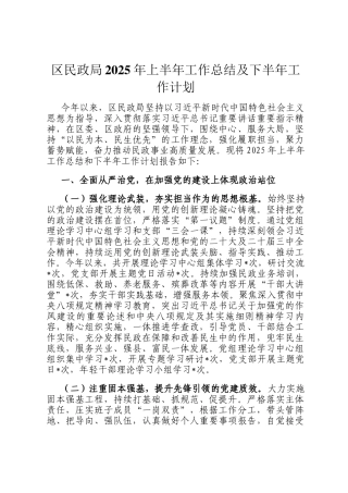 区民政局2025年上半年工作总结及下半年工作计划