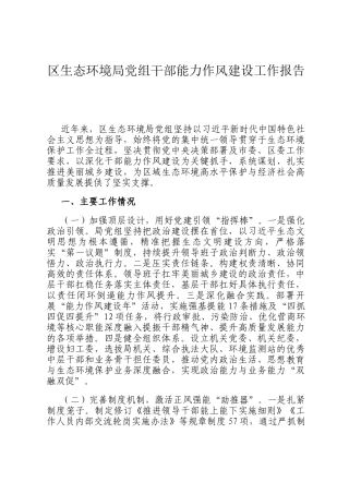 区生态环境局党组干部能力作风建设工作报告