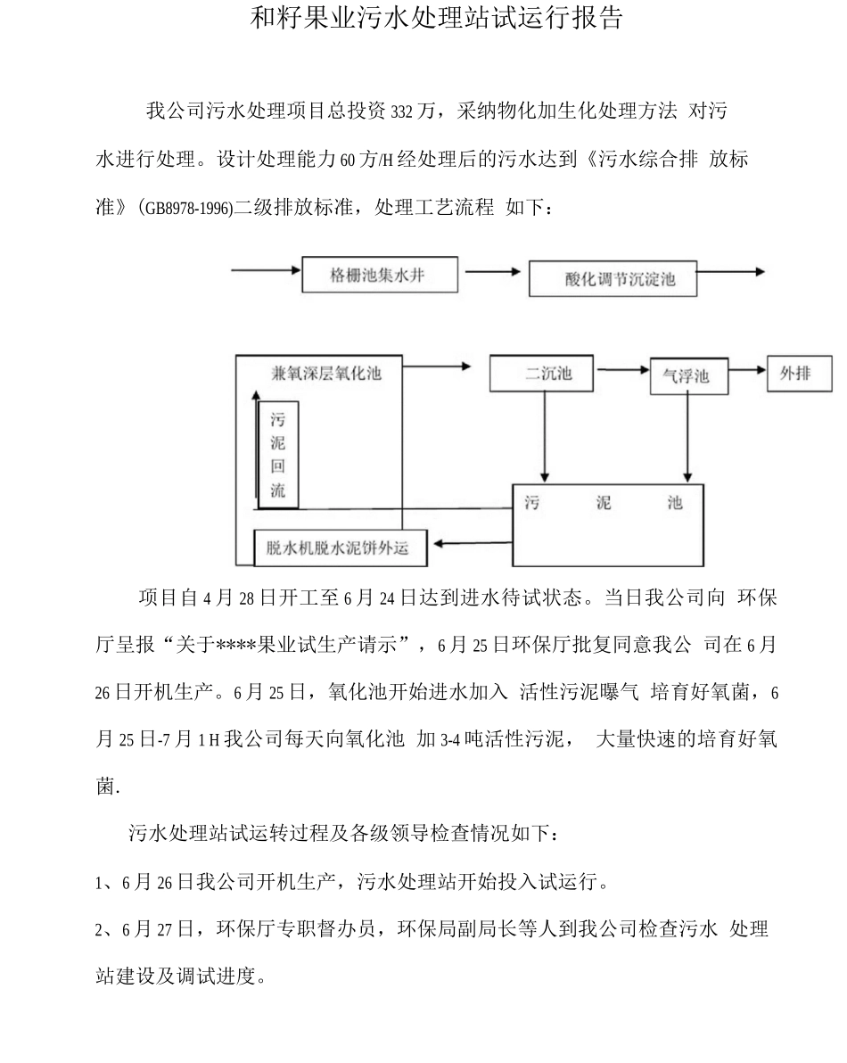 污水处理站运行报告_第1页