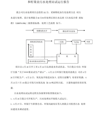 污水处理站运行报告
