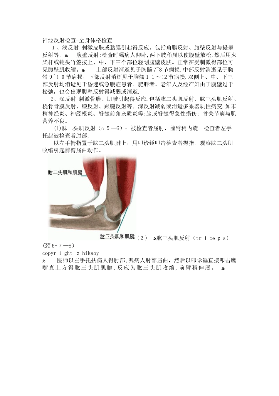 深反射浅反射病理反射_第1页