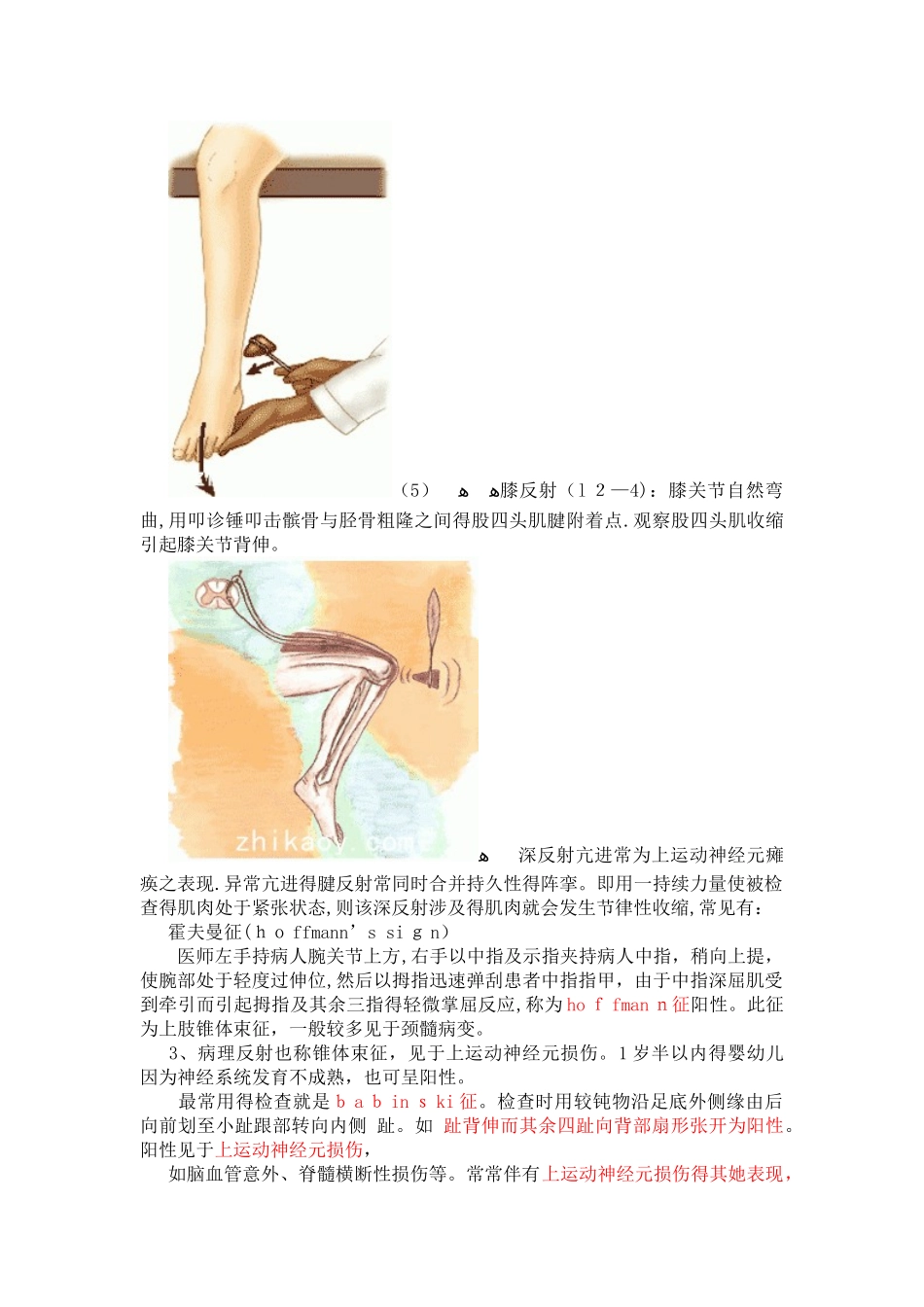 深反射浅反射病理反射_第3页