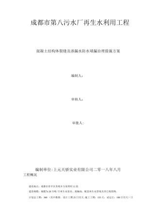 混凝土结构体裂缝及渗漏水防水堵漏治理措施方案